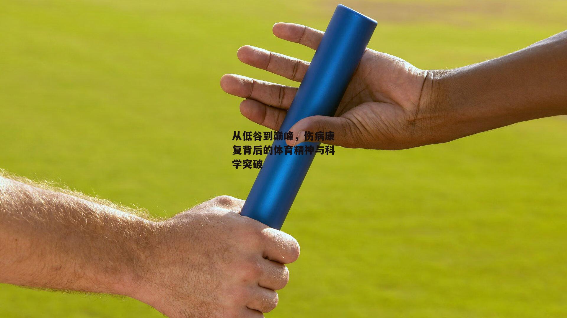 从低谷到巅峰，伤病康复背后的体育精神与科学突破